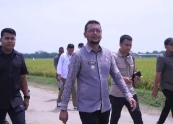 Bupati Labusel Hadiri Panen Raya Padi Bersama Panglima TNI di Deli Serdang
