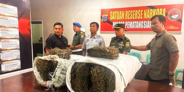 Ditemukan 2 Karung Goni Ganja Seberat 49 Kilogram di Belakang Kampus USI Kota Pematangsiantar