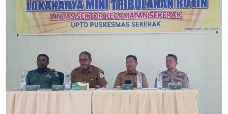 Program Nasional Kesehatan : UPTD Puskesmas Sekerak Gelar Lokakarya Mini Tribulanan