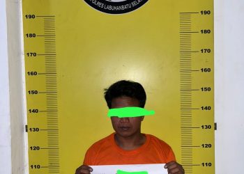 Sat Narkoba Polres Labuhanbatu Selatan Ungkap Kasus Peredaran Narkotika di Desa Pasir Tuntung