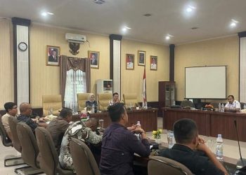 Komisi I DPRD Labuhanbatu Selatan Gelar RDPU Bersama Mitra Bidang Kesehatan