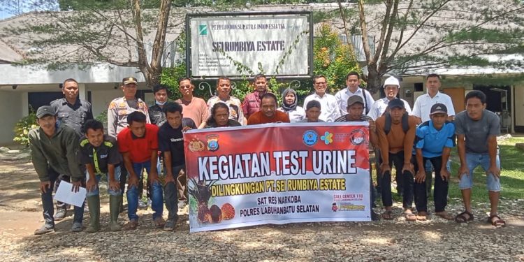SAT RESNARKOBA POLRES LABUSEL BERSAMA GRANAT DAN LAN GELAR TES URINE KARYAWAN PT RUMBIYA ESTATE