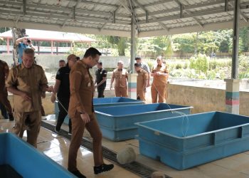 Bupati Labusel Fery Sahputra Simatupang Meninjau Balai Benih Ikan
