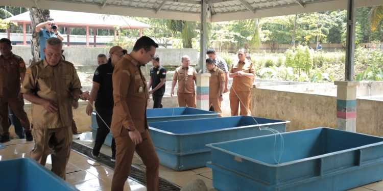 Bupati Labusel Fery Sahputra Simatupang Meninjau Balai Benih Ikan