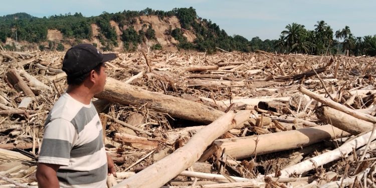 Kampung Pengidam Kecamatan Bandar Pusaka Tertimbun Kayu Gelondongan Akibat Diterjang Banjir