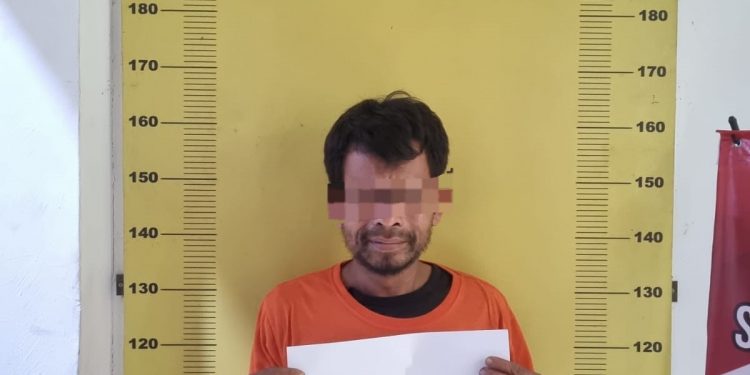 Satresnarkoba Polres Labuhanbatu Selatan Ungkap Kasus Narkotika di Desa Rasau