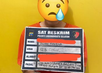 Satreskrim Polres Labusel Ungkap Kasus Cabul Anak di Kotapinang, Pelaku Dibekuk di Tempat Kerja