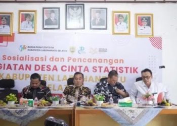 Wabup Syahdian Purba Launching Desa Cantik di Teluk Panji IV, Dorong Desa Berbasis Data dan Modern