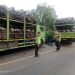 Tabrakan Beruntun Tiga Truk di Jalinsum Asam Jawa, Sat Lantas Polres Labusel Gerak Cepat Pastikan Arus Lalin Terkendali