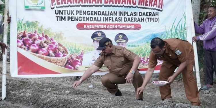 Bupati Aceh Tamiang Lakukan Tanam Perdana Bawang Merah Untuk Menekan Laju Inflasi